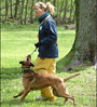 Lianne dog trainer